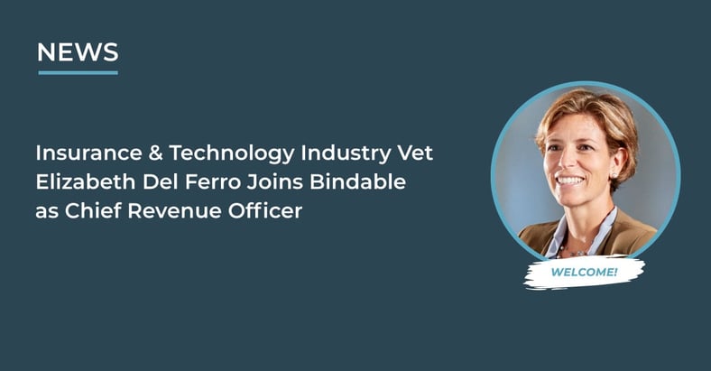 Insurance & Technology Industry Vet Elizabeth Del Ferro Joins Bindable as Chief Revenue Officer