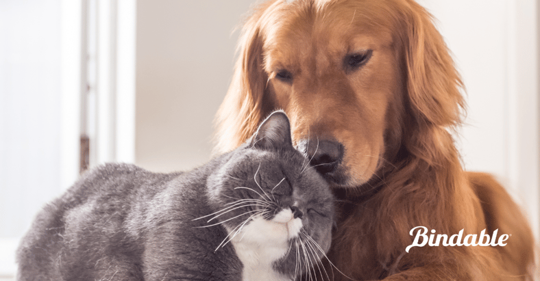 Millions of Animal Lovers Can Now Access Quality Pet Insurance via API-enabled Partnership Between Bindable and Pets Best